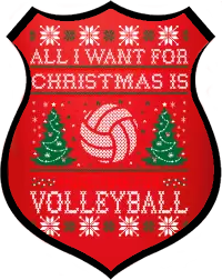 Dec 9th Ugly Sweater 4v4 Coed Volleyball Tournament
 - 